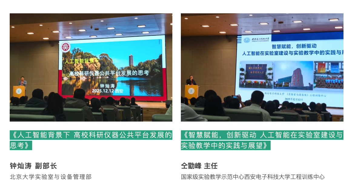 1765954512626233.png 14.png